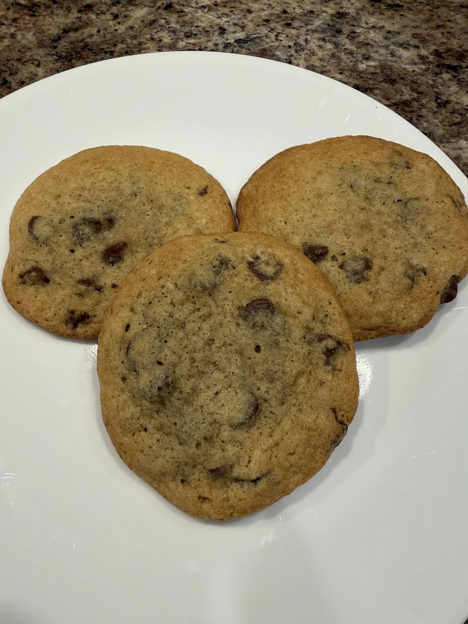 Sourdough Chocolate Chip Cookies