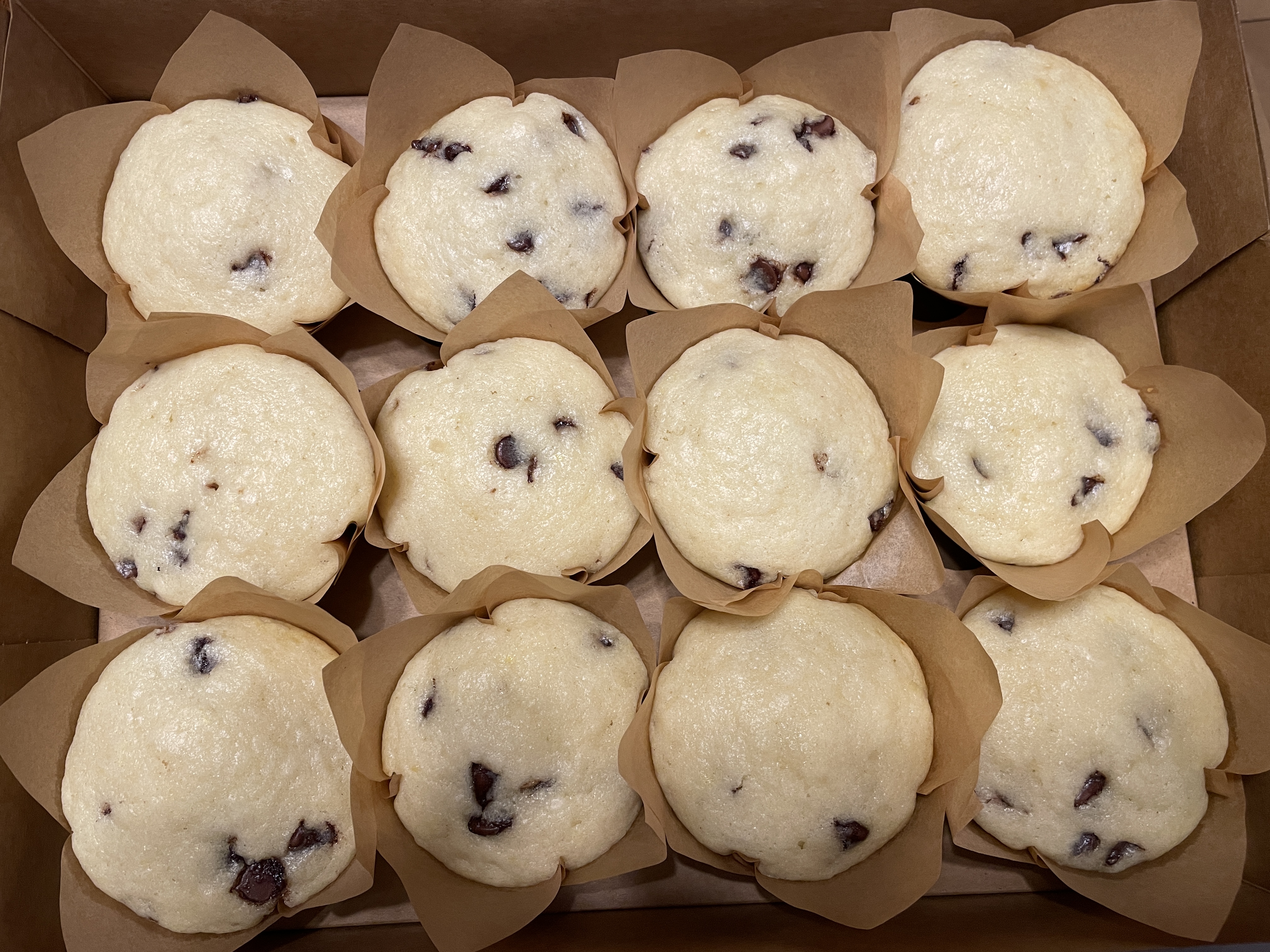 Chocolate Chip
