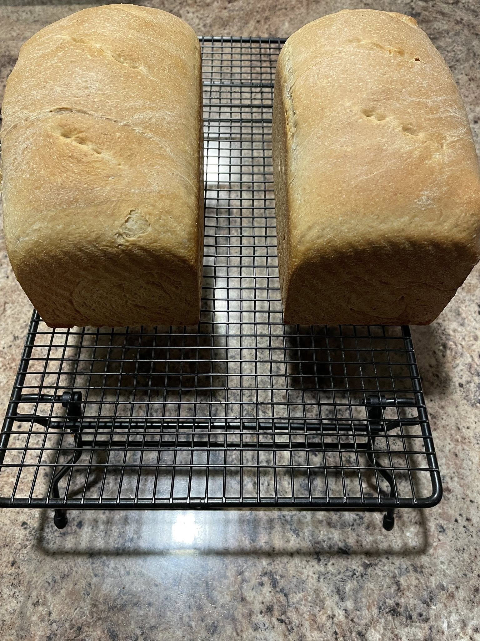 Sandwich Bread